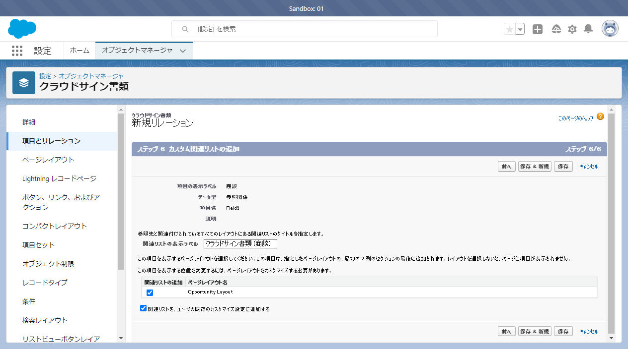 sfdc_settings_relationships_customRelationList.png